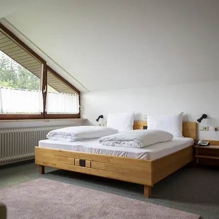 Waldhotel Geländer Schernfeld