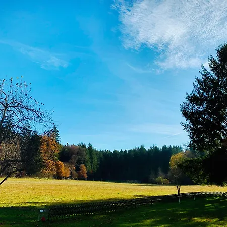 Waldhotel Gelaender 3*