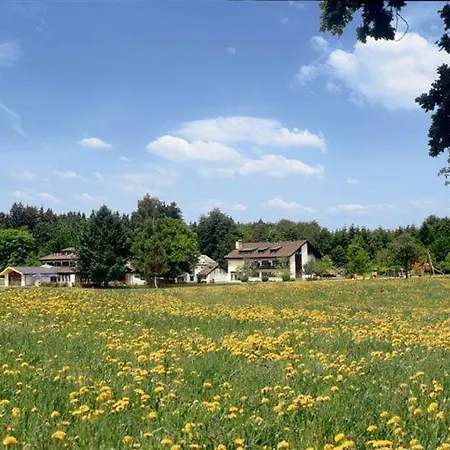 Wald- Und Tagungshotel Gelaender Otel Schernfeld