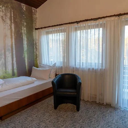 Wald- Und Tagungshotel Gelaender 3* Schernfeld