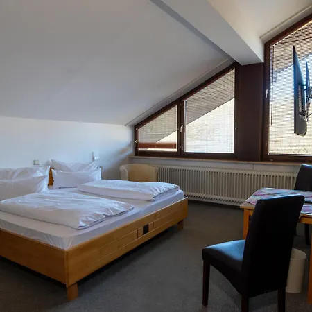 Wald- Und Tagungshotel Gelaender 3* Schernfeld