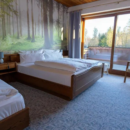 Waldhotel Gelaender 酒店 3*