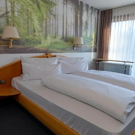 Wald- Und Tagungshotel Gelaender Otel Schernfeld