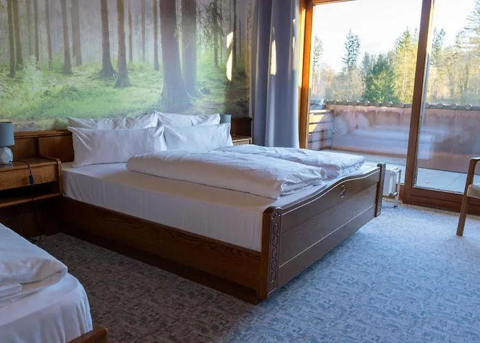 Waldhotel Gelaender Ξενοδοχείο 3*